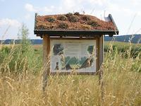 Aufwertung Biberlehrpfad